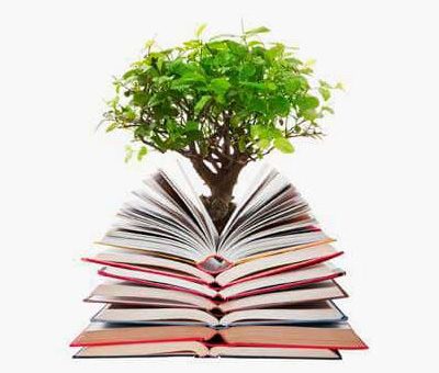 fotolia_30916159_m_grau